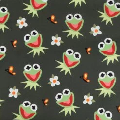 Kermit Loungefly Mini Backpack – The Muppets - Disney Parks Exclusive -Toy World Shop 2014105715457 2